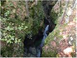 Stara Fužina - Planina Zgornja Grintovica